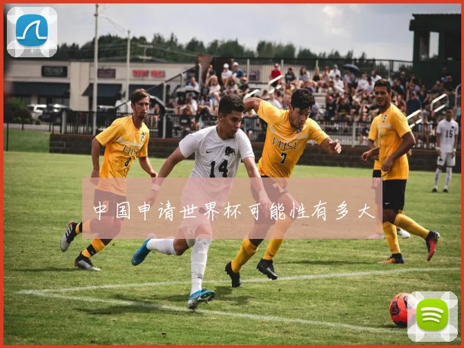 中国申请世界杯可能性有多大
