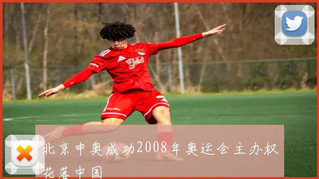 北京申奥成功2008年奥运会主办权花落中国