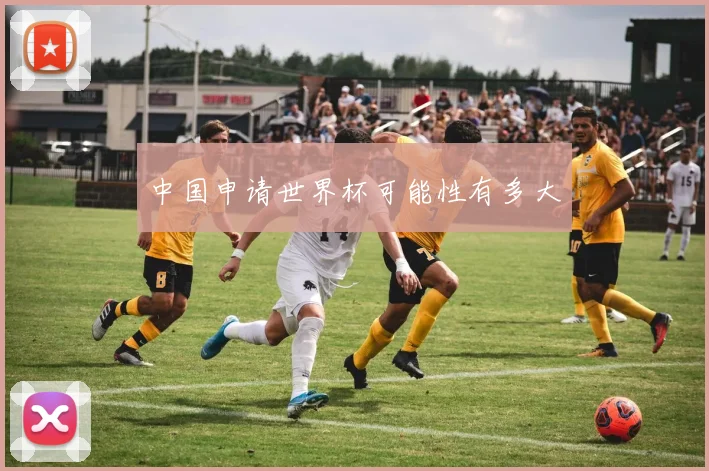 中国申请世界杯可能性有多大
