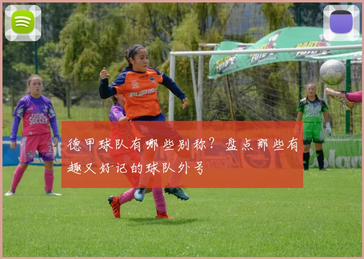德甲球队有哪些别称?盘点那些有趣又好记的球队外号