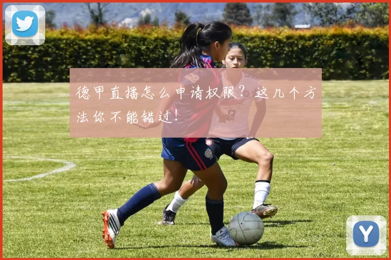 德甲直播怎么申请权限？这几个方法你不能错过！