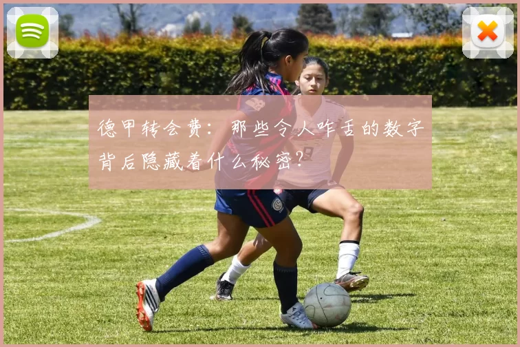 德甲转会费:那些令人咋舌的数字背后隐藏着什么秘密?