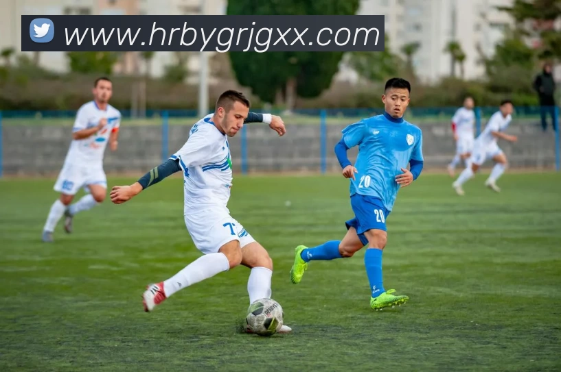 德甲降级赔率:背后的玄机与球队命运走向